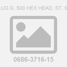 Plug G .500 Hex Head, St. St.